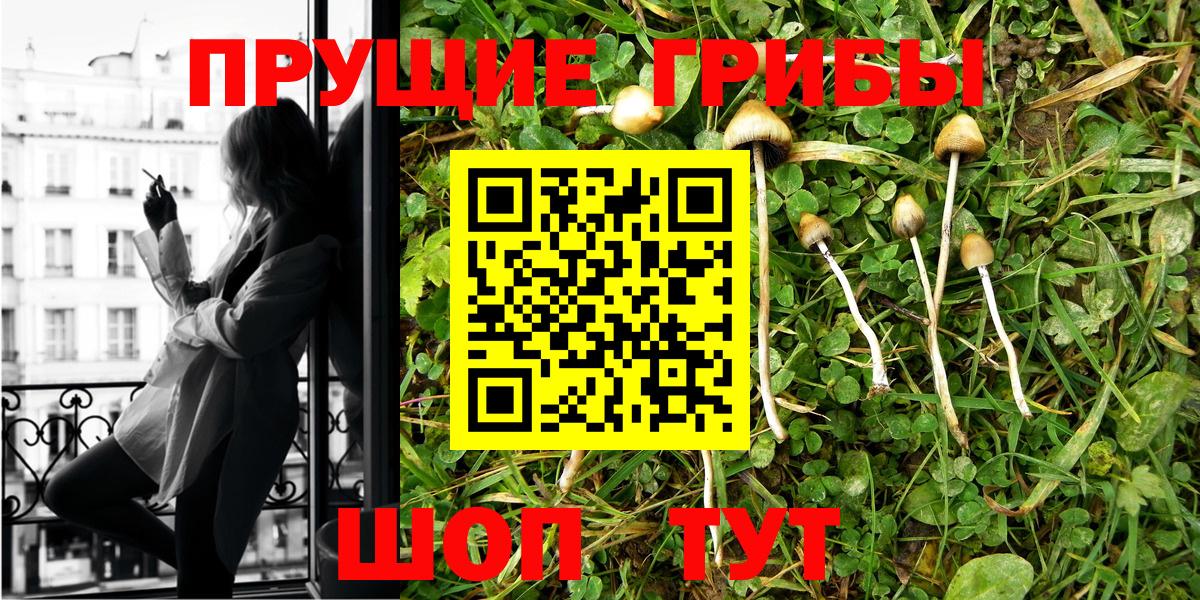 Псилоцибиновые грибы Cubensis  Вход с VPN  Губкин 