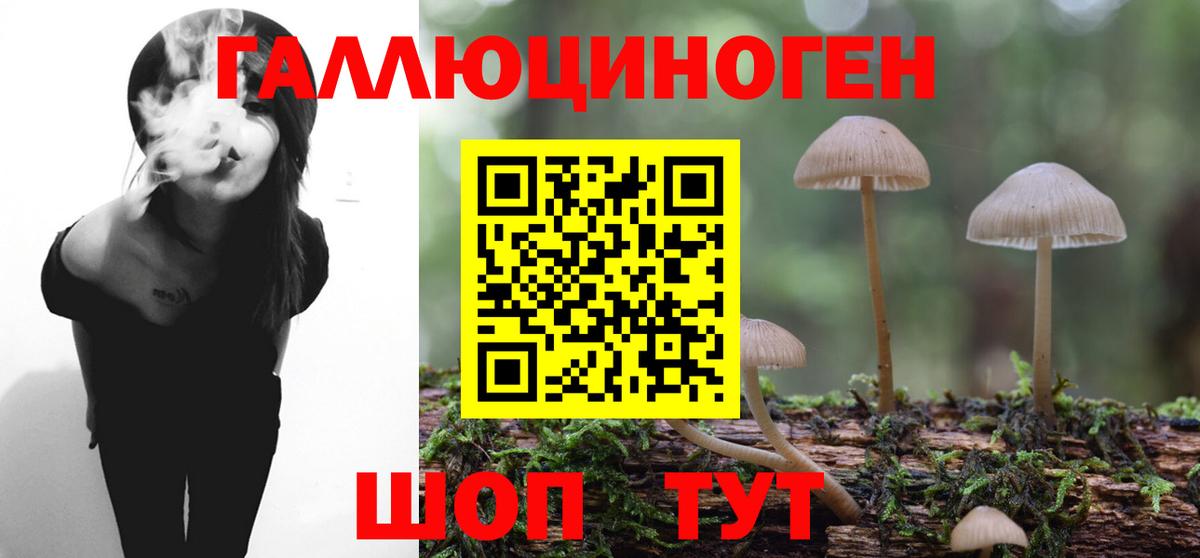 Псилоцибиновые грибы MAGIC MUSHROOMS Губкин